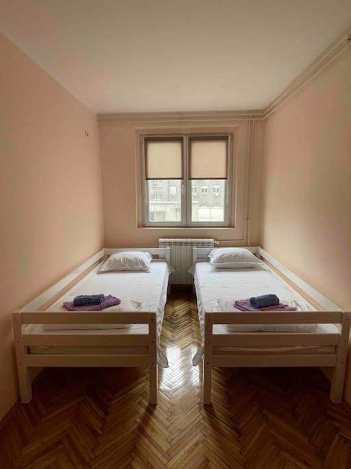 Bg Sunflower Apartment Belgrad Exterior foto
